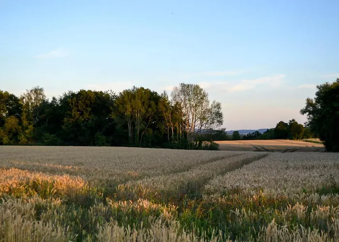 Am Rotenberg By Interhome Detmold